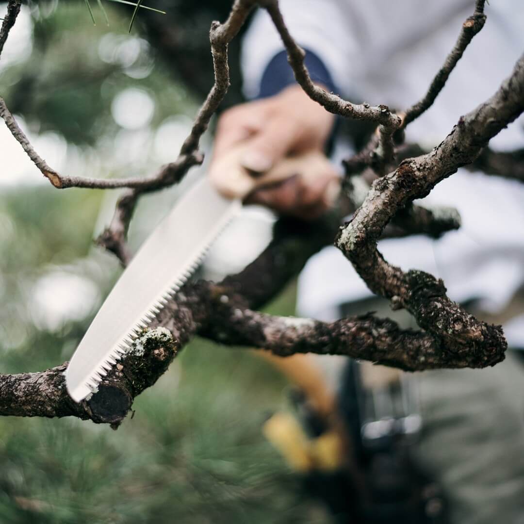 Pruning Saw