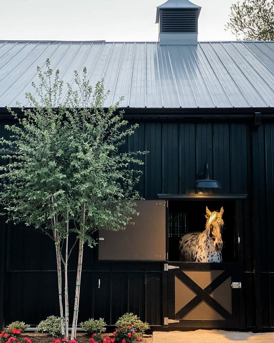 Horse Shed