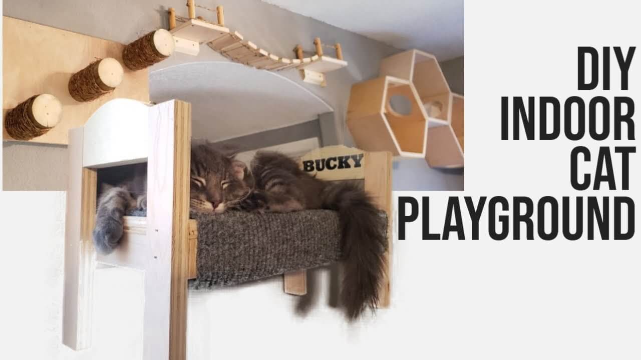 Cat Shelf Playground: Combining Fun And Functionality