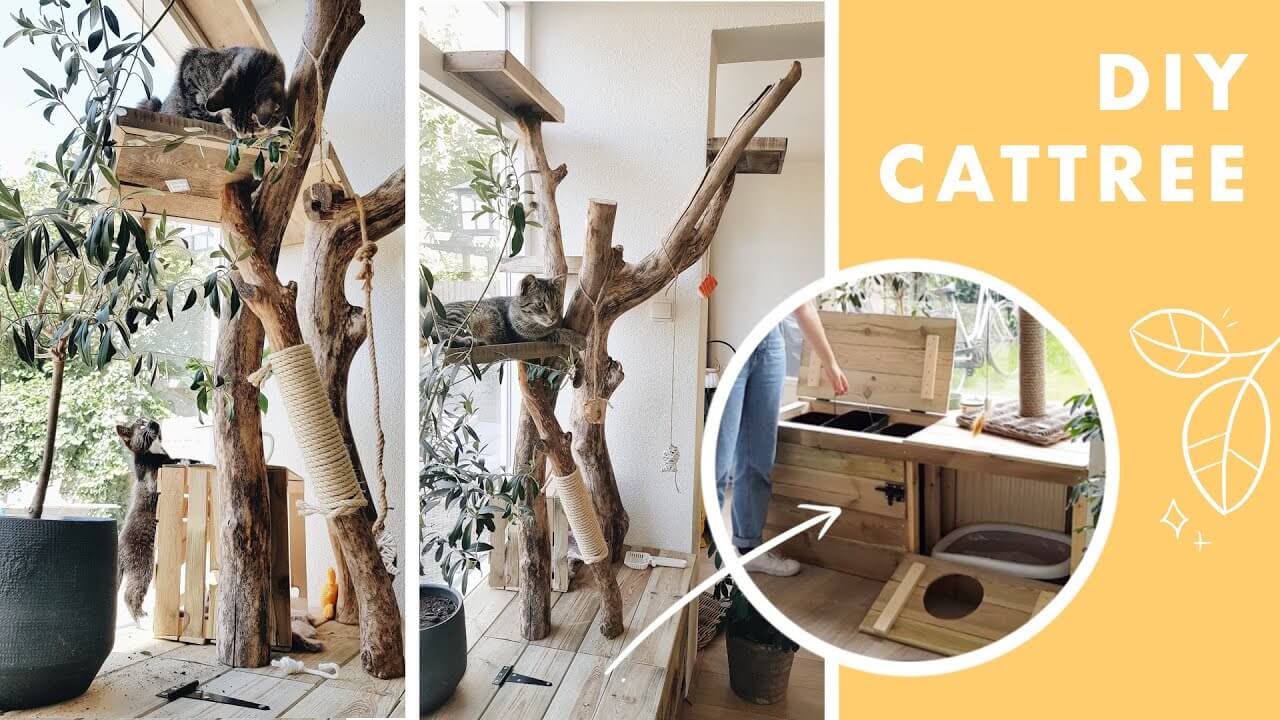 How Do You Make Homemade Cat Shelves