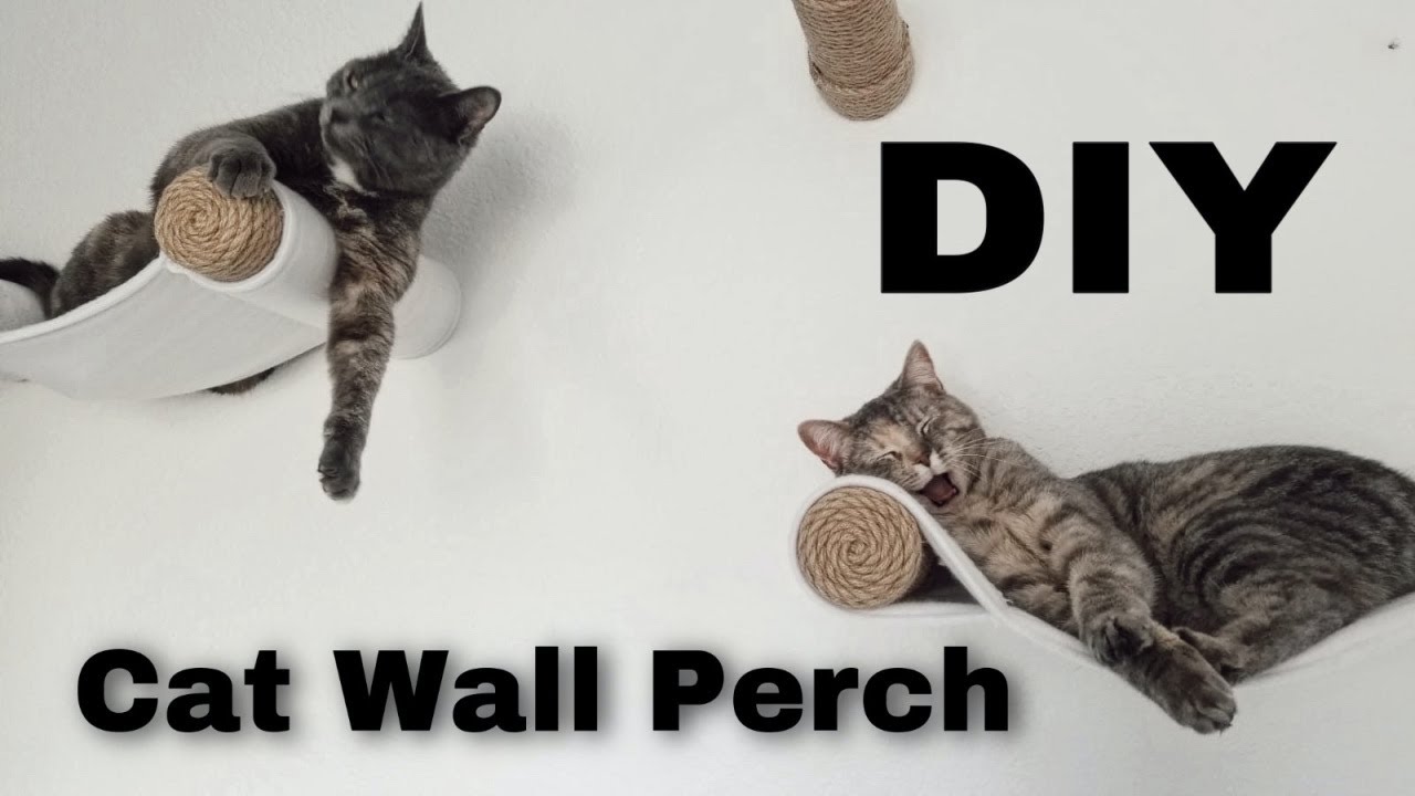 Safety Considerations For Diy Cat Shelves