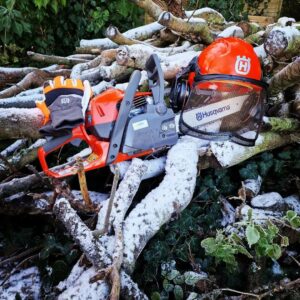 Smallest Gas Chainsaws