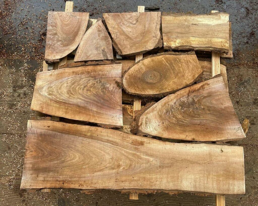 Introduction To Drying Wood