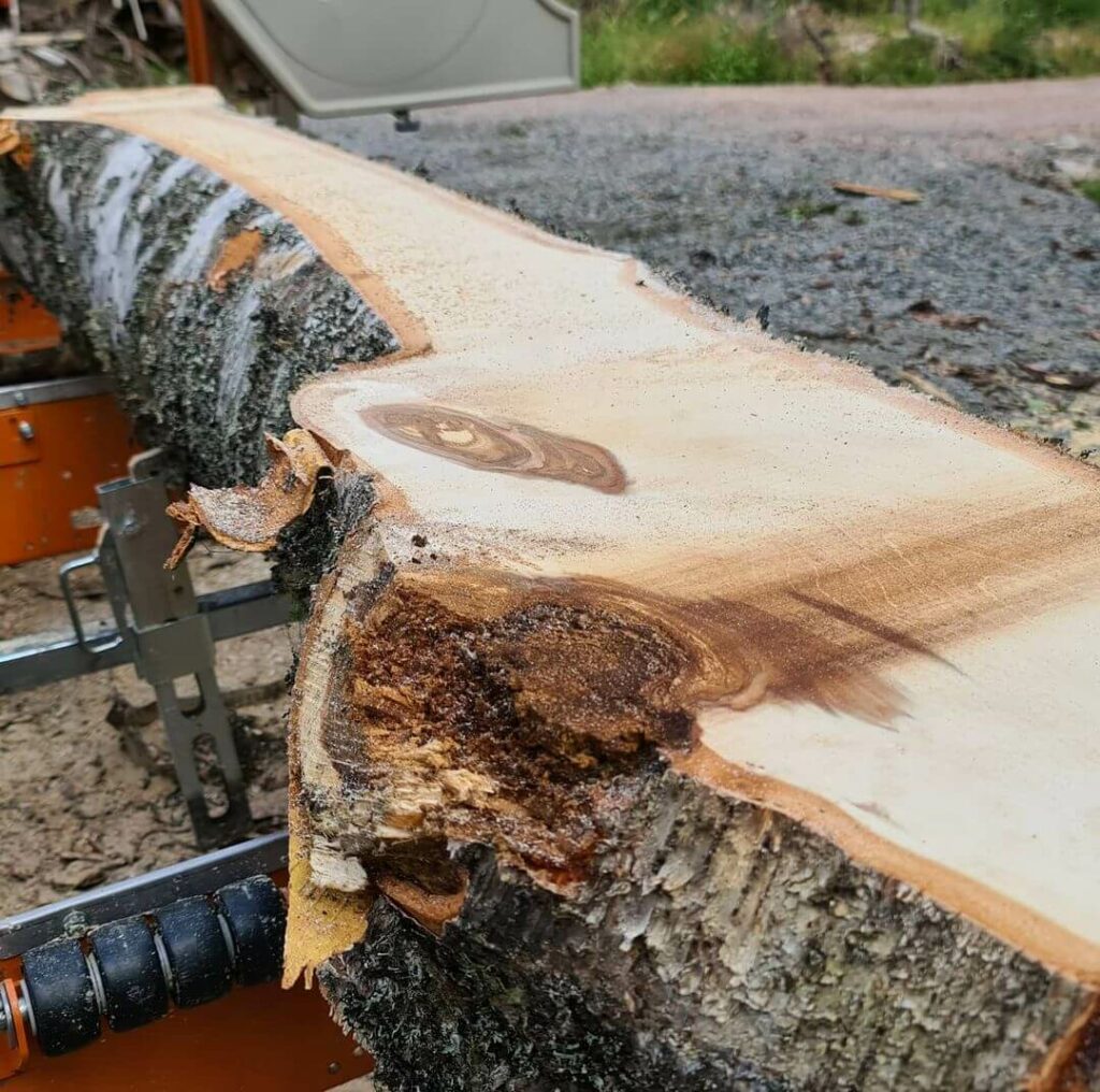 Bandsaw Mill Vs Chainsaw Mill
